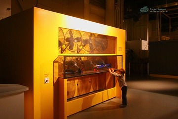 IMG_8068t