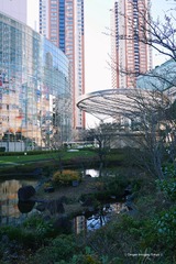 P1140202t