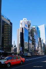 P1140231t