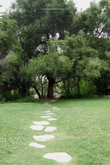 P1220346t
