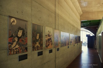 P1120533t