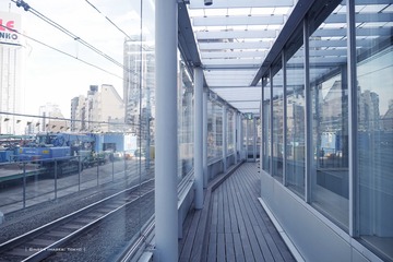 P1120539t