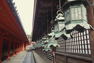 P1200266t