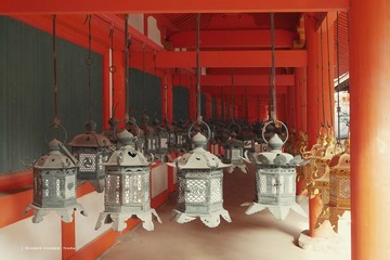 P1200269t