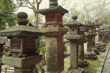 P1200282t