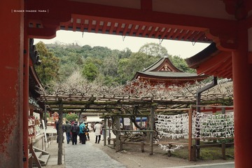 P1200285t