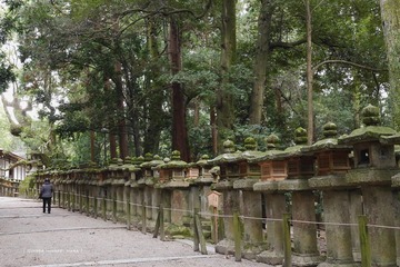 P1200302t