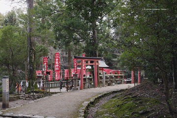 P1200329t