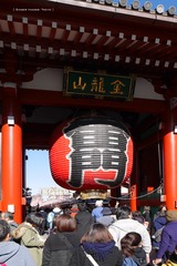 P1130287t