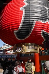 P1130290t
