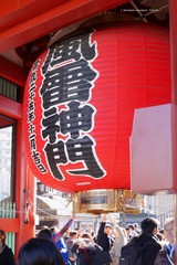 P1130295t