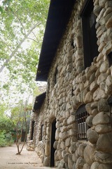 P1220408t