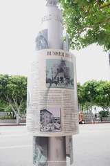 P1220624t