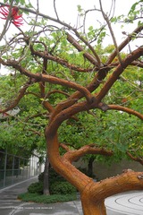 P1220414t