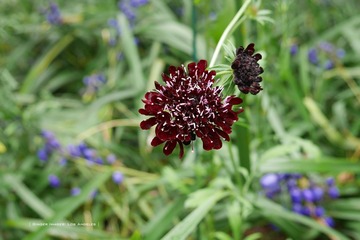 P1220426t