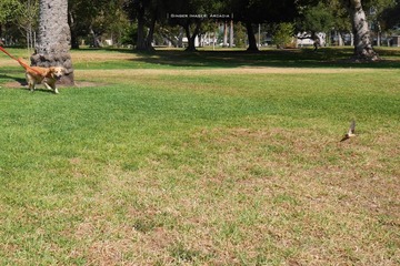 P1220955t