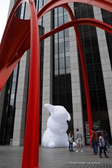 P1220638t