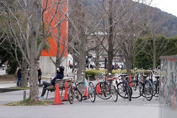 P1180703t