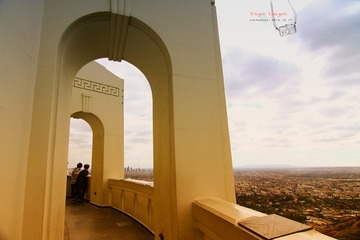 IMG_5109t
