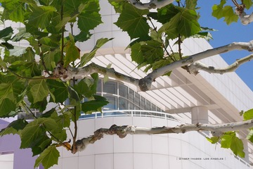 P1230372t