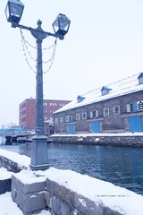 P1150674t