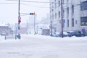 P1150682t