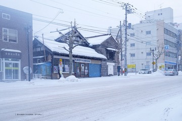P1150692t