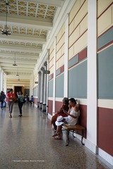 P1230396t