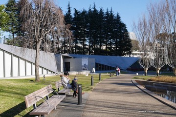 P1140259t
