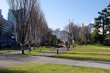 P1140264t