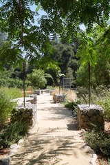 P1230787t