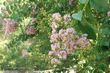 P1230886t