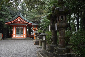 P1190539t