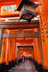 P1190610t