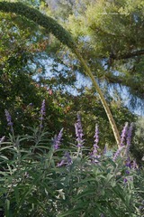 P1250489t