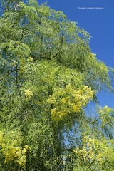 P1250547t