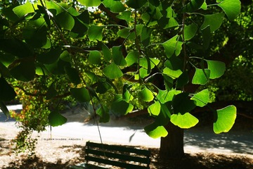 P1250659t
