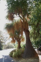 P1250685t