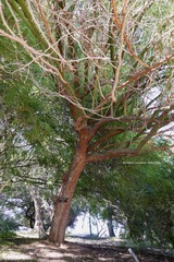 P1250693t