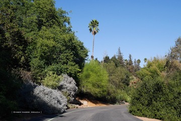 P1250697t