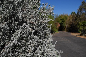 P1250699t