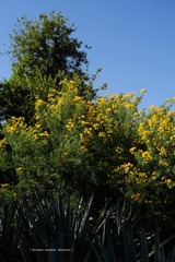 P1250703t