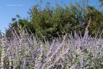 P1250717t
