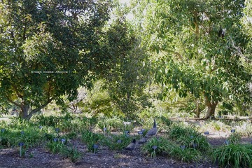 P1250738t