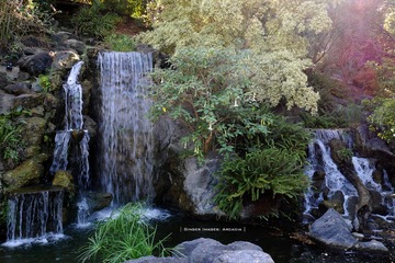 P1250752t