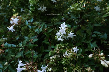 P1250755t