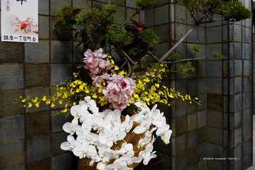 P1120737t