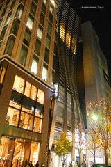 P1120939t