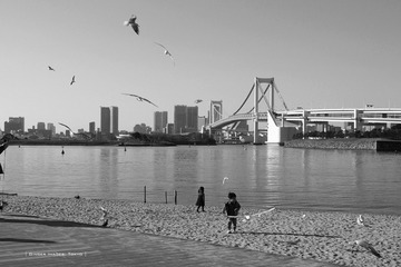 P1130639t
