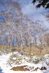 P1170420t